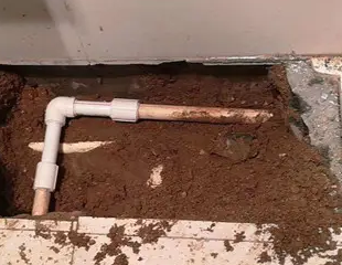 余庆测漏水哪家好