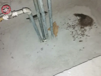 余庆卫生间测漏水价格明细